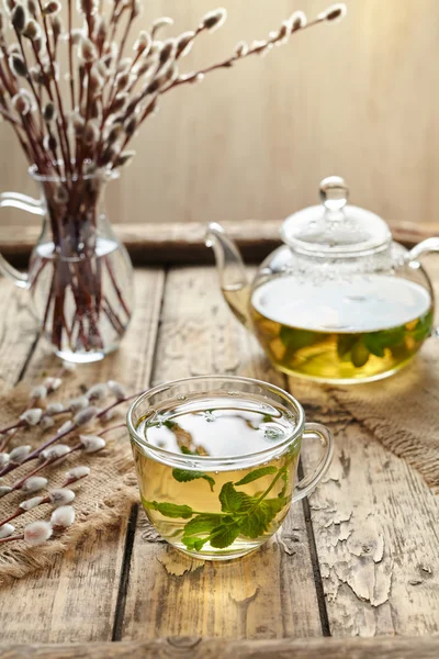 Евкаліптовий чай з листям у прозорій чашці та чайнику — стокове фото