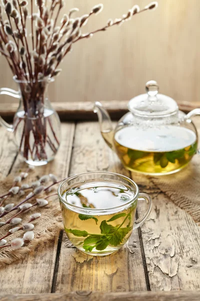 Eukalyptustee mit Blättern in transparenter Tasse und Teekanne — Stockfoto