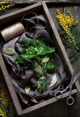 Fresh spring garni bouquet herbs seasoning bunch with scissors