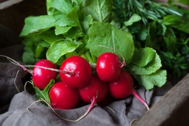 Harvest of fresh natural radishes healthy organic nutrition food