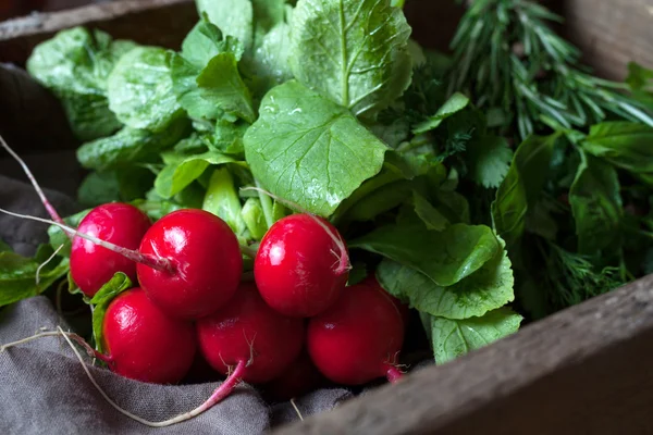 Bunch of fresh radish roots red spring vegetables vegetarian food — Stockfoto