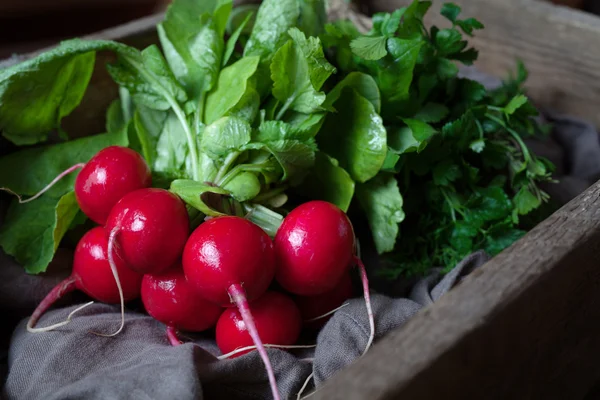 Ripe spring bunch of radishes healthy natural vegetables — 스톡 사진