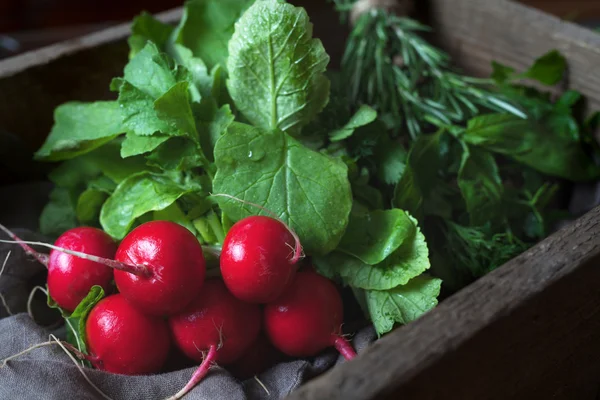 Fresh spring radish vegetables bunch natural vegetarian food, rustic style — Stock Fotó