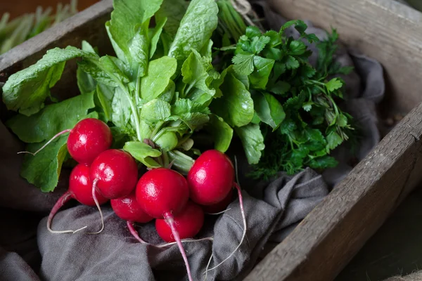 Fresh rustic harvest of radishes healthy vegetables in vintage basket — Stockfoto