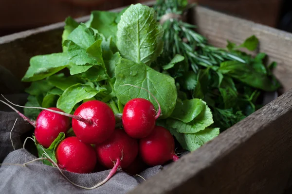 Crop of fresh radishes healthy organic vegetarian food rustic style — ストック写真