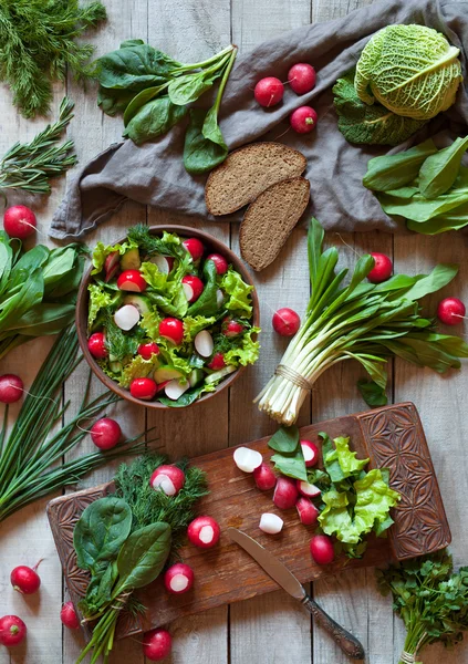 Våren vegetabilisk diet sallad med rädisor, cucmber, savoy och gröna — Stockfoto