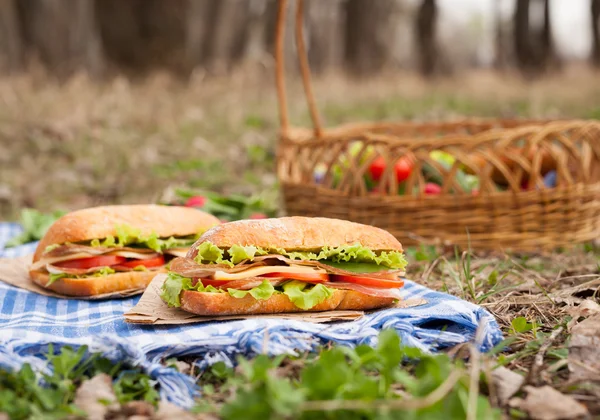 Ciabatta Sandwich Lifestyle Picknick Mittagessen mit Gemüse — Stockfoto