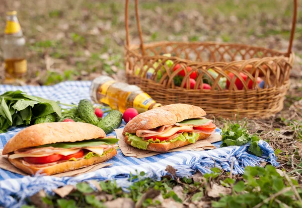 Almuerzo de picnic estilo sándwich Ciabatta con verduras, tocino y ensalada — Foto de Stock