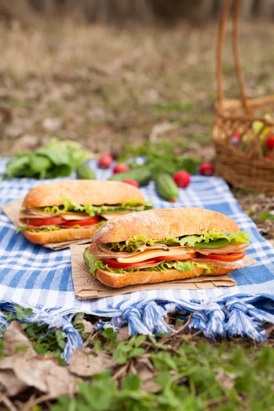 Hagyományos ciabatta baguette szendvics életmód piknik ebéd, zöldség — Stock Fotó