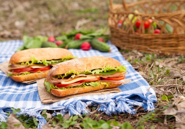 Hagyományos ciabatta kenyér szendvics életmód piknik ebéd, zöldség — Stock Fotó