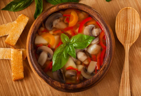 Sopa de verduras — Foto de Stock