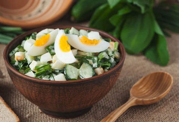 Organic spring salad with chopped ramson in rustic style — Stock Photo, Image