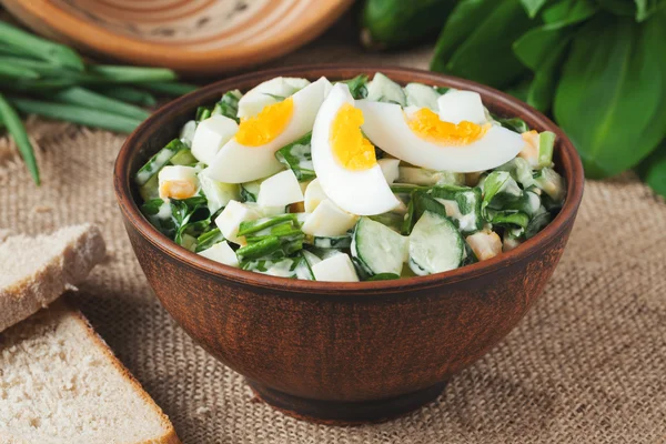 Grüner Frühlingssalat mit gehacktem Knoblauch und Ramson serviert in einer rustikalen Schüssel — Stockfoto