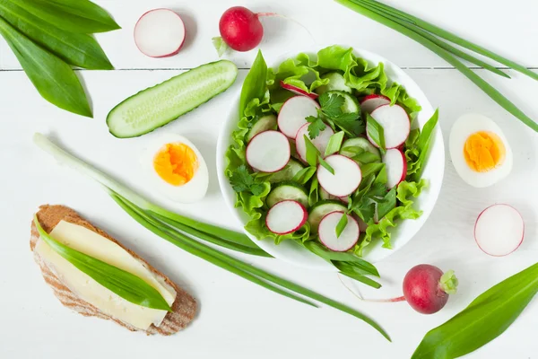 Salada orgânica de primavera com rabanete, salada verde, pepino, cebola e alho-porro selvagem — Fotografia de Stock