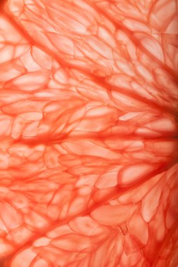 Greyfurt kadar doku kapatın