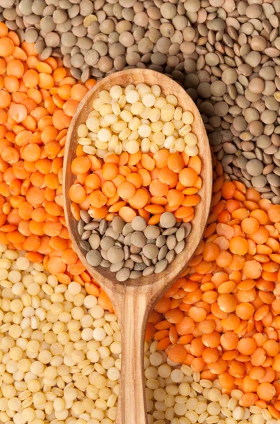 Mix of different lentil types in spoon — Stock Photo, Image