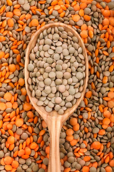 Mix of different lentil types. Super foods — Stock Photo, Image