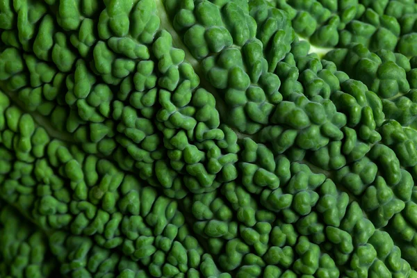 Savojkål närbild gröna konsistens — Stockfoto