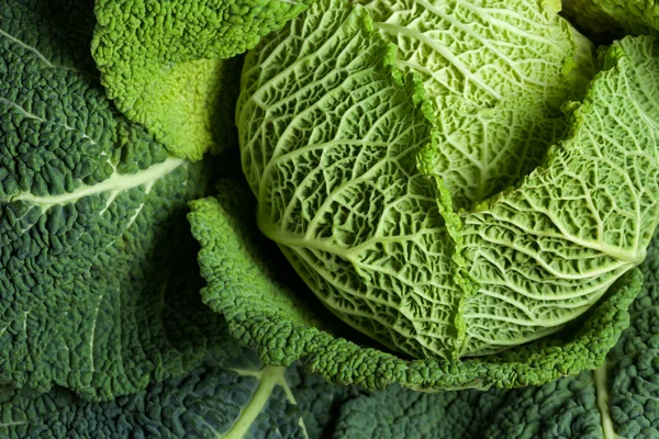 Savoy cabbage superfood — Stock Photo, Image