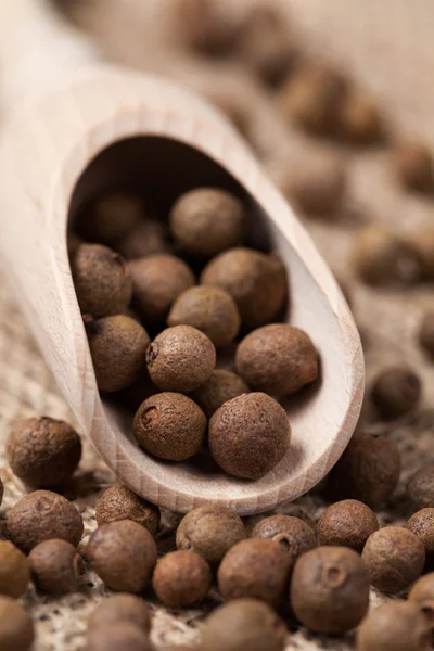 Ziele angielskie pieprz aromat przypraw nasiona w drewnianą łyżką na tekstylne b — Zdjęcie stockowe
