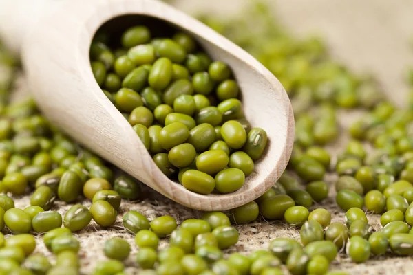 Healthy organic vegetarian clean eating food mung beans in woode — Stock Photo, Image