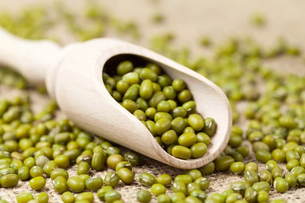 Heap of healthy mung beans vegetarian super foods in wooden spoo — Stock Photo, Image