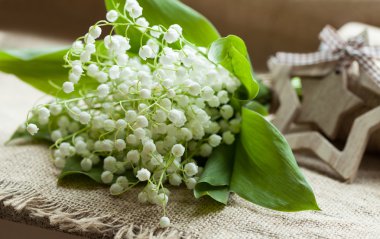 Rustik Tekstil zemin üzerine Vadisi'nin çiçek açan lilly