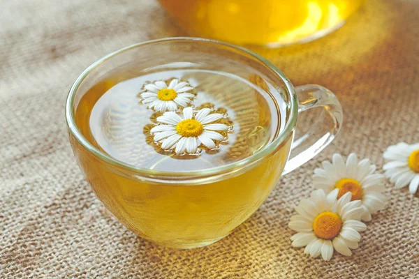 Chamomile tea herbal alternative medicine beverage in transparent cup with camomile flowers. Rustic sacking background and camomiles — Stock Photo, Image