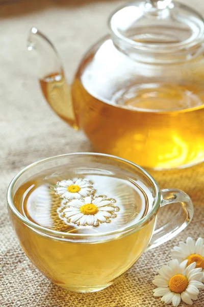Cup of camomile tea with chamomile flowers and teapot. Chamomiles on background. — Stock Photo, Image