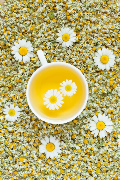 Beyaz fincan doğal papatya bitkisel çay. Kurutulmuş camomiles arka plan. Sağlıklı organik aromaterapi alternatif tıp. — Stok fotoğraf