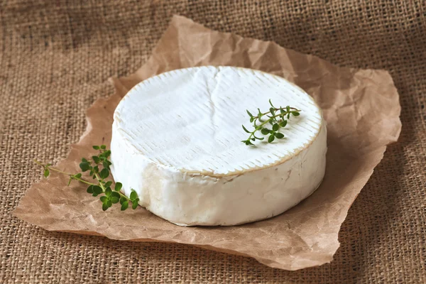 Camembert ost läckra runda franska dairy mat med färska gröna timjan på rustika pergament — Stockfoto