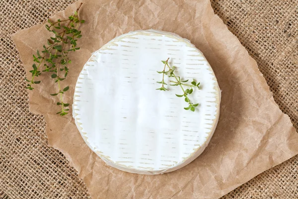 Camembert cheese traditional Normandy French gourmet round dairy product delicious food with thyme on rustic parchment — Stock Photo, Image