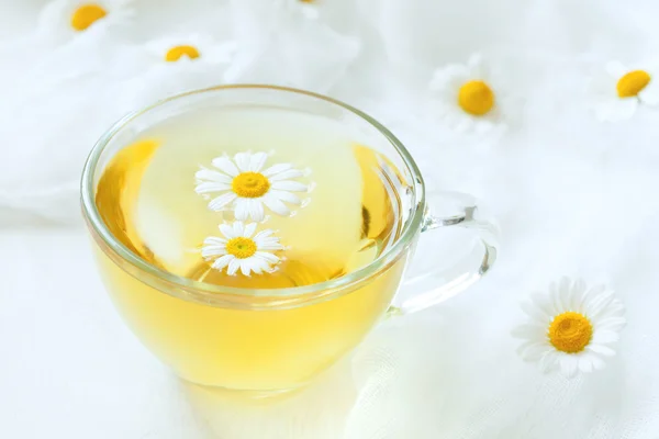 Transparent cup of healthy chamomile herbal tea with flowers on white rustic kitchen table background — Stock Photo, Image