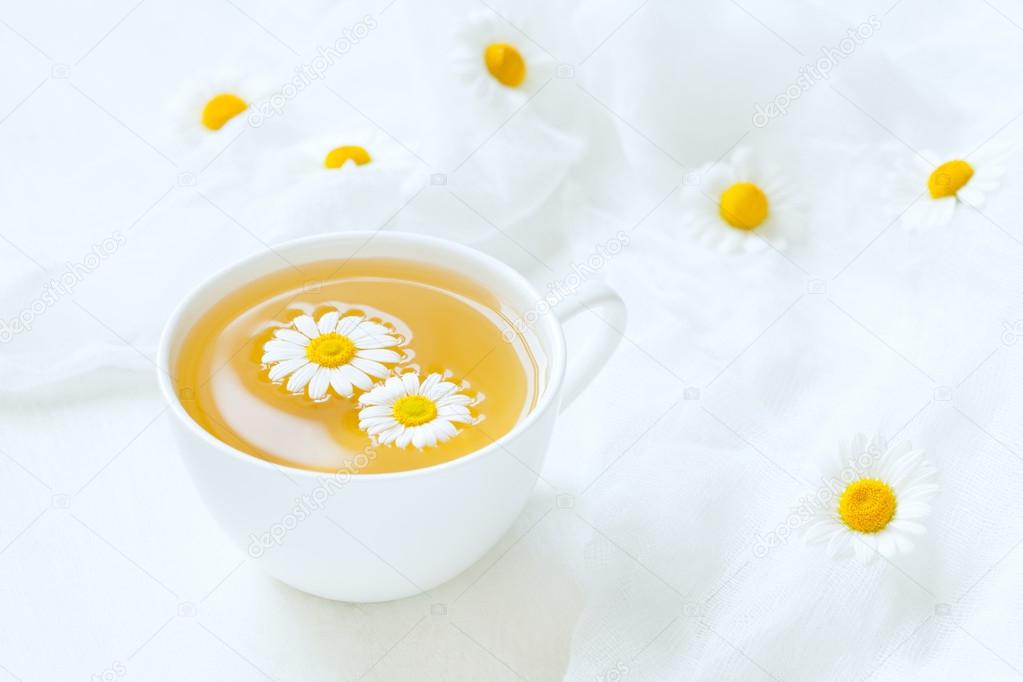 Cup of yellow chamomile tea organic aromatic beverage with fresh camomile flowers on white rustic kitchen background