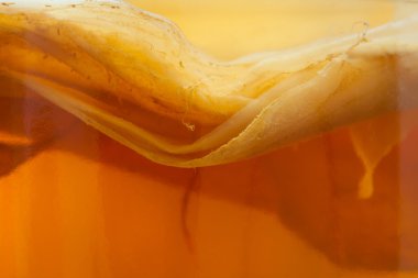 Kombucha fungus close up texture. Natural organic fermented tea drink pro biotic superfood in vintage glass jar. Fitness nutrition sport drink.