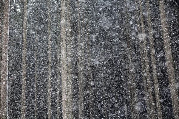 Snowing — Stock Photo, Image