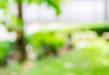 Garden yeşil ağaç