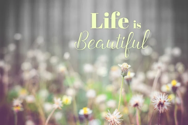 Ispirazione citazione: "La vita è bella" sul backgro campo di fiori — Foto Stock