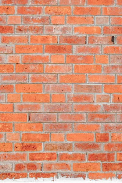 Orange brick wall,texture background — Stock Photo, Image