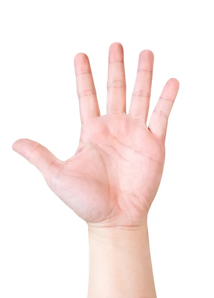 Mão mostrar cinco dedo isolado — Fotografia de Stock