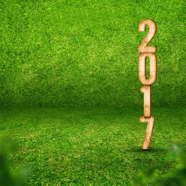 2017 año nuevo en la sala de hierba verde — Foto de Stock