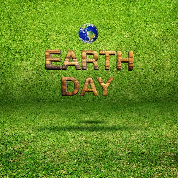 Wooden earth day word