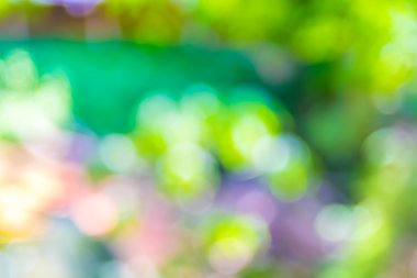 Bokeh ışığı ile bulanık soyut arkaplan