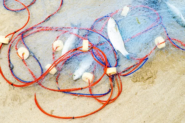 Primer plano Redes de pesca captura de peces muertos en la arena de la playa —  Fotos de Stock