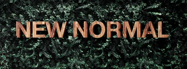 New Normal Wood Word Green Leaf Wall Background Nature Sustainable —  Fotos de Stock