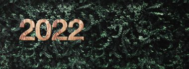 Yeni yıl 2022 ahşap dokusu tropikal koyu yeşil yaprak yeşillik duvarında açık havada. Ekoloji kavramı. Dünyanın çevre bakımı