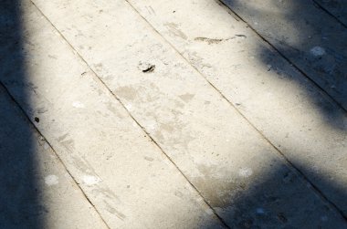 Çimento zemin üzerinde gölge