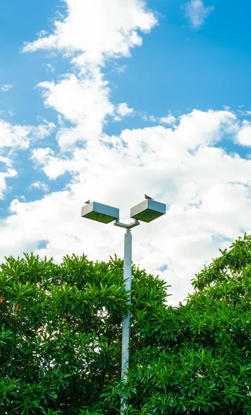 Pólo de luz no parque no céu azul agradável — Fotografia de Stock