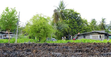 Arazi için inşa bir ev hazırlamak.