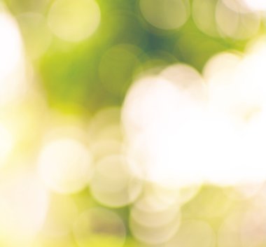 Yeşil arka plan bulanıklık